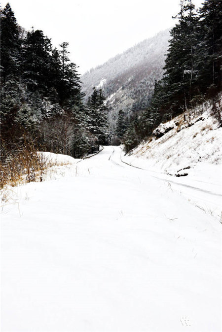 原來(lái)河南大雪過(guò)后這么美